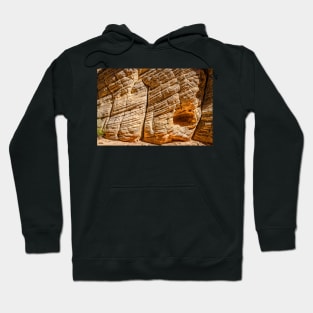 Lick Wash Trail Hike Hoodie